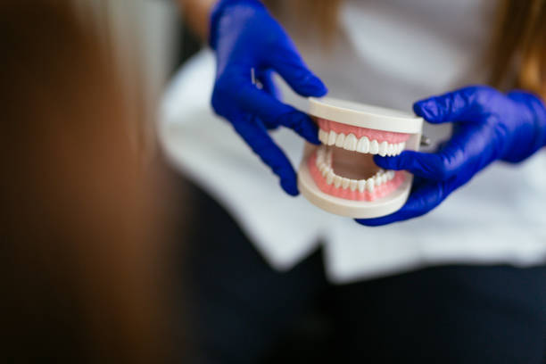 Professional Holistic Dental Care Services in Brea, CA